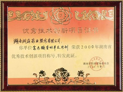 湖南省優(yōu)秀技術(shù)創(chuàng)新項(xiàng)目