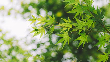 明天，你好